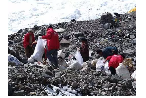 你被“垃圾分類”洗腦了嗎？揭秘強(qiáng)制分類背后的驚天秘密！-