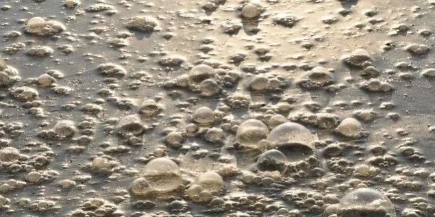 污水廠內的生物氣溶膠怎么產生，污水從業(yè)人員如何做好防護？-