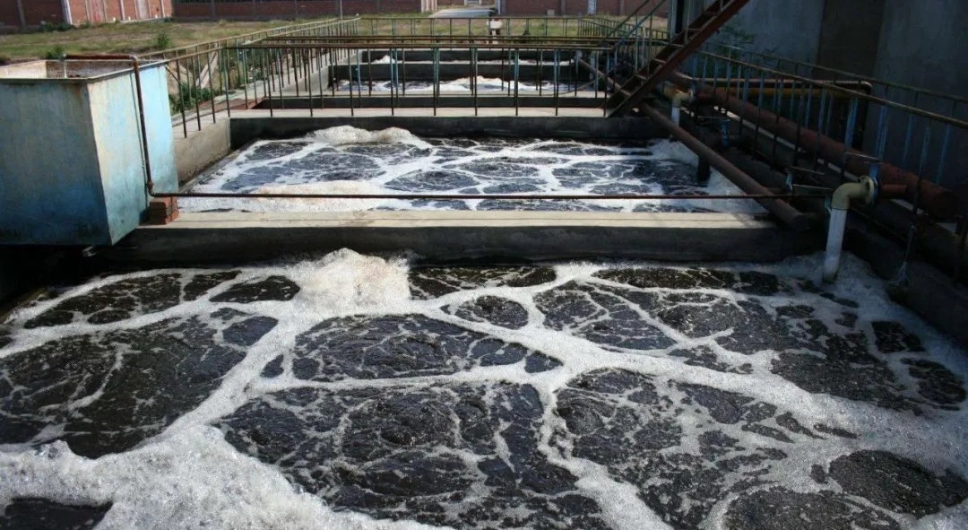 住建部：如何應(yīng)對新冠病毒從馬桶到水環(huán)境的潛在傳輸途徑？