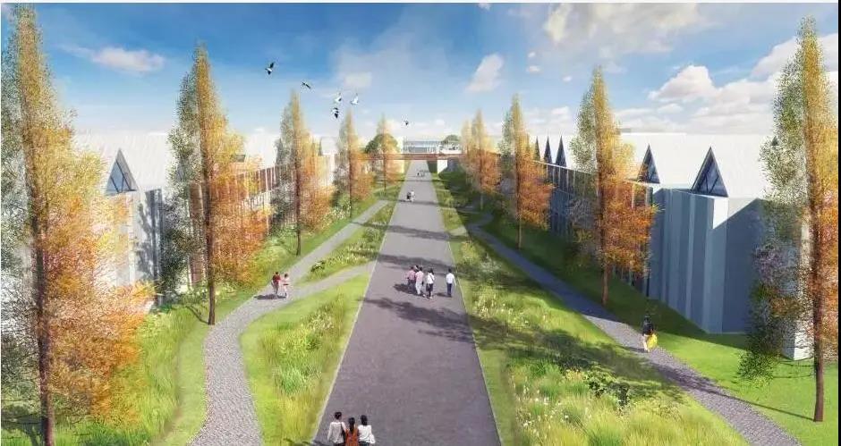 國內(nèi)超大污水處理廠竹園四期初 步設(shè)計(jì)通過評審-