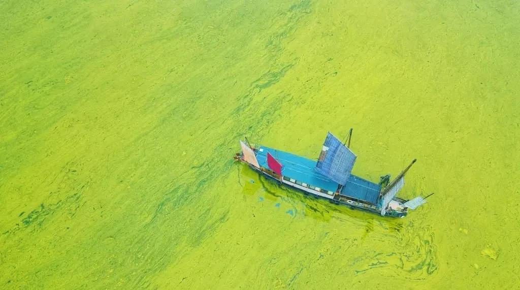 江蘇修訂太湖水環(huán)境治理專項資金管理辦法，5月27日起實施-