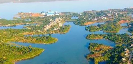 不斷加速的淘汰賽中，泵管閥“后浪們”為活下去而戰(zhàn)！