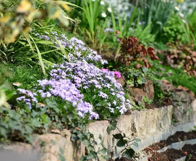 南北花園給排水問(wèn)題差異大，你知道嗎？-