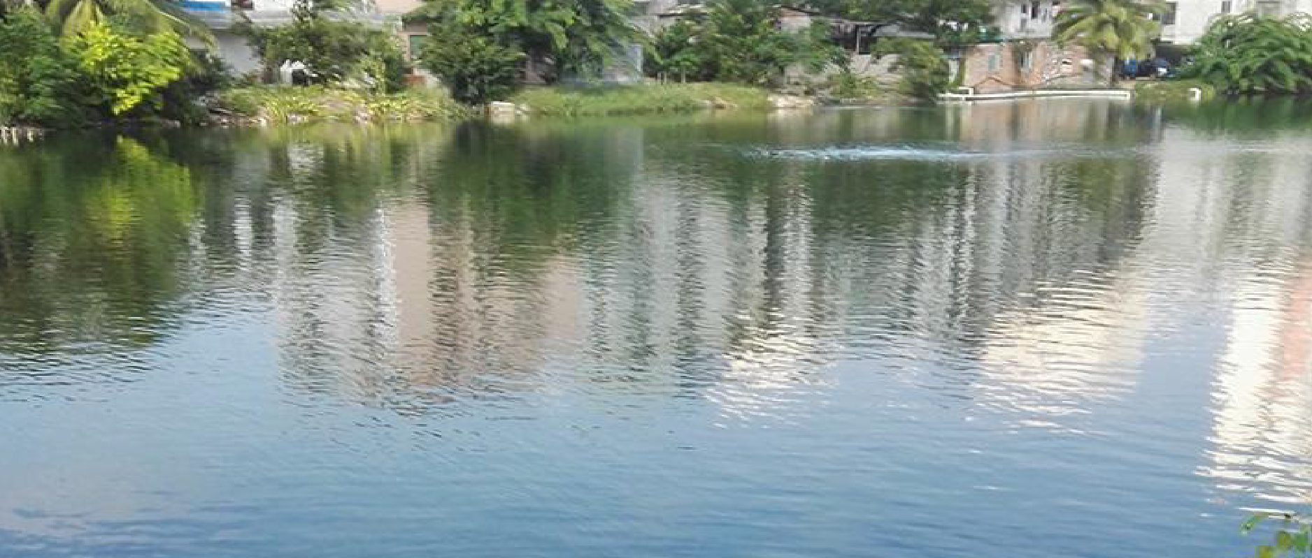 2023黑臭水體整治新動(dòng)作不斷！問題到底怎么破？