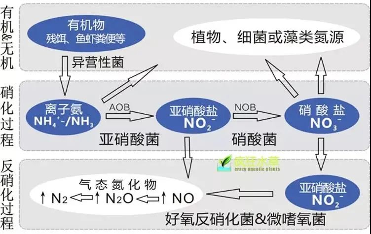 面對低濃度氨氮工業(yè)廢水束手無策？這幾種方法可以解決-