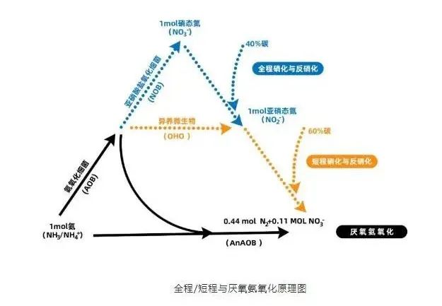 面對低濃度氨氮工業(yè)廢水束手無策？這幾種方法可以解決-