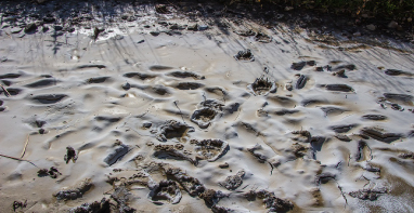 換季污泥膨脹，怎么辦？