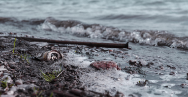 103條黑臭水體！江蘇2024年全省農(nóng)村環(huán)境整治工作計劃！