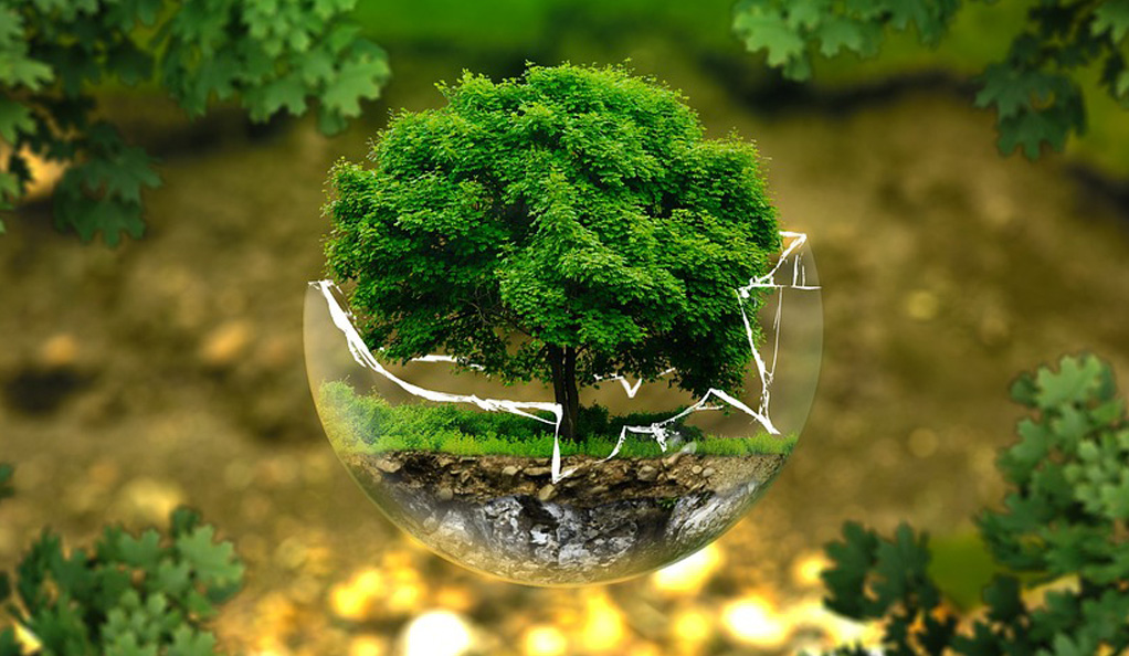 中國水環(huán)境集團：綠色低碳技術(shù)驅(qū)動水務(wù)價值重構(gòu)